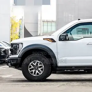 Ford F-150 Raptor 2022 Fender Molding (LED Type)