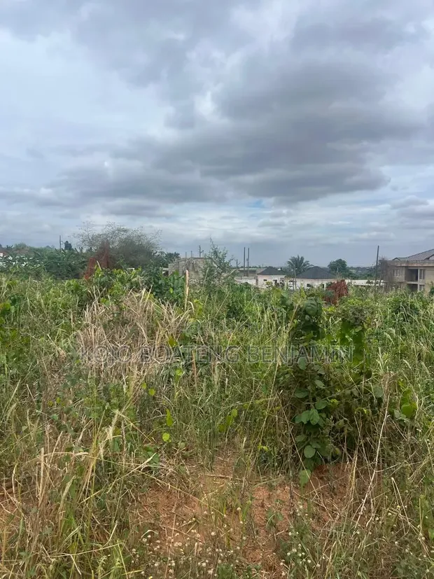Half Plot of Land for Sale in Valley View - 1
