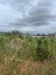 Half Plot of Land for Sale in Valley View - 1