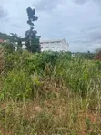 Half Plot of Land for Sale in Valley View - 4