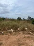 Plot of Land for Sale in Oyarifa - 2