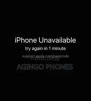 iPhone Passcode Bypass Service