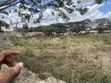 1 Acre Titled Land for Sale at Ampomah Estate, Frafraha - 4