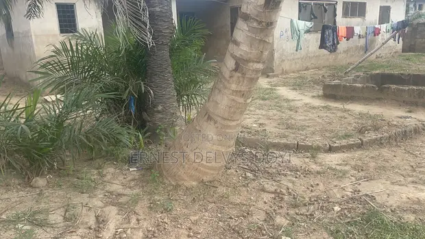 Full Plot for Sale Along Abokobi-Pantang Road - 1