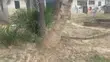 Full Plot for Sale Along Abokobi-Pantang Road - 1