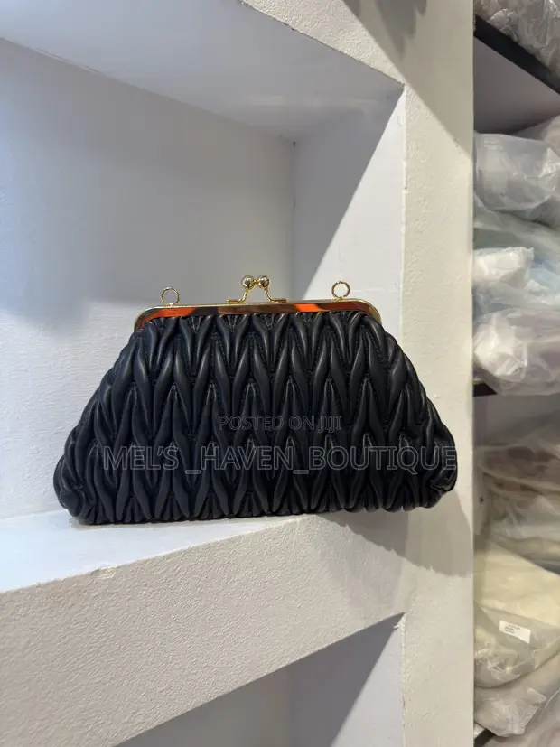 Zara Premium Handbags - 1