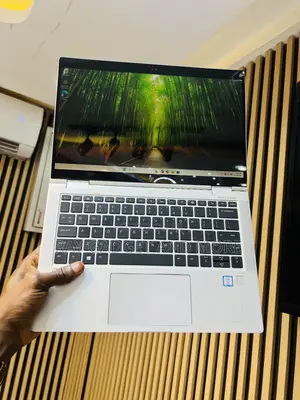 HP EliteBook x360 1030 G3 Laptop - Core i5, 8GB RAM, 256GB SSD
