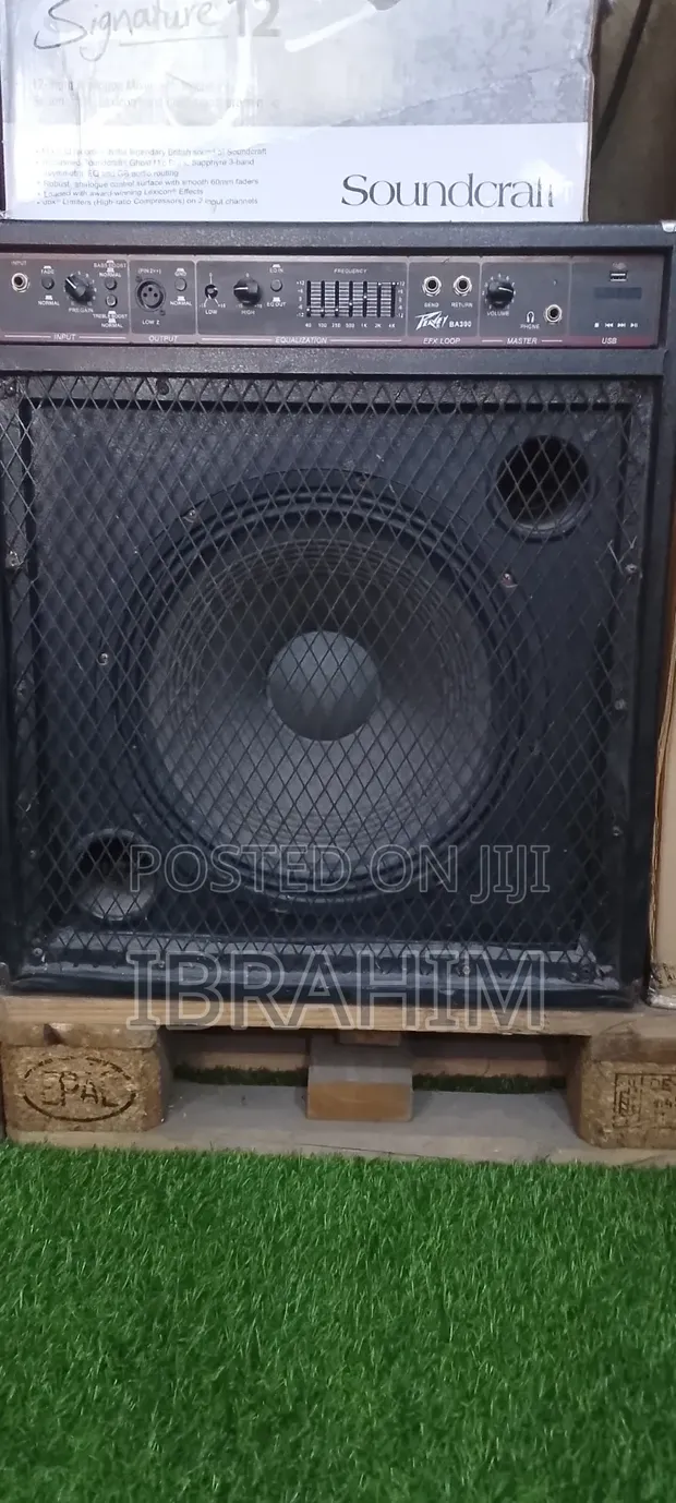 Peavey Bass Combo Amplifier - 1