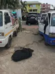 Kia Truck for Hire - Logistics & Delivery Services - 2