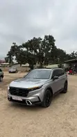 2024 Honda CR-V EX-L AWD w/o BSI - Gray - 2
