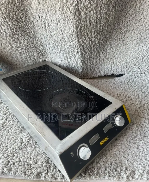 Used Commercial Electric Induction Cooker - Germany - 1
