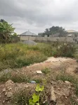 70x80ft Land for Sale, Dome Pillar 2 - 3