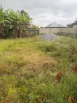 70x80ft Land for Sale, Dome Pillar 2 - 4