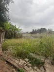 70x80ft Land for Sale, Dome Pillar 2 - 5