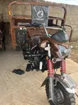 New Sonlink SL200-8A 2026 Brown Tricycle - 4