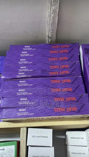 Night Angel Flood Lamp - 100W