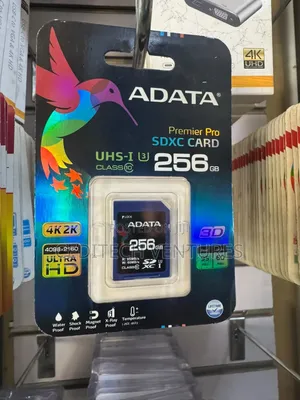 256GB SDXC Class 10 Memory Card