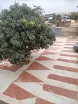 2-Bedroom Apartment for Rent in Adenta Foster Home, Frafraha - 2