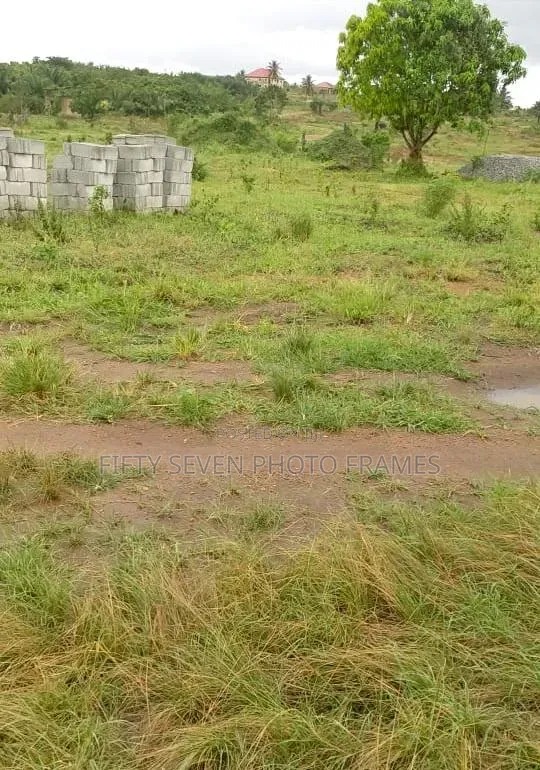 Half Plot of Land for Sale in Awutu Senya West - 1