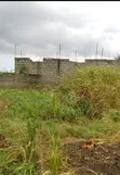 Half Plot of Land for Sale in Awutu Senya West - 3