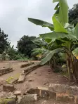 3.5 Plots of Land for Sale at Agric–Aburaso - 2