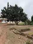 3.5 Plots of Land for Sale at Agric–Aburaso - 3