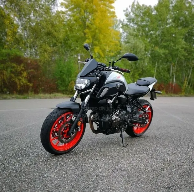 Yamaha MT-07 2020 Gray - 1