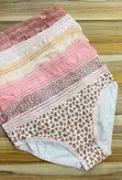 Cotton Period Panties - 4