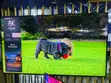 Samsung 75-Inch QLED 8K TV - 2
