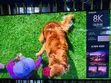 Samsung 75-Inch QLED 8K TV - 3