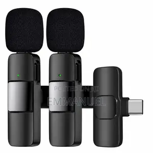 ArtSound Mini Wireless Microphone System