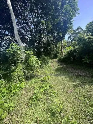 Farmlands for Sale or Lease in Takoradi