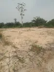 Farmlands for Sale or Lease in Takoradi - 2