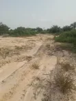 Farmlands for Sale or Lease in Takoradi - 3