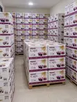 Prefilled Communion Wine and Wafer Cups - 3