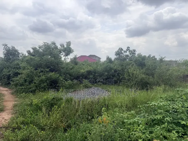 Genuine Plots of Land for Sale at West Trasacco or Borteyman - 1