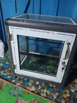 Showcase Commercial Cooker - 2