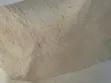 Baobab Powder - 1