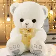 Teddy Bear for Kids and Girls - 1
