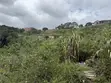 8 Plots of Land at Aburi Peduase - 4