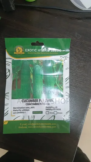 Cucumber F1 Power Seeds (10g)