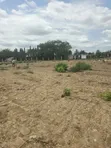Titled 1 Acre Land for Sale in Adenta Aviation - 2