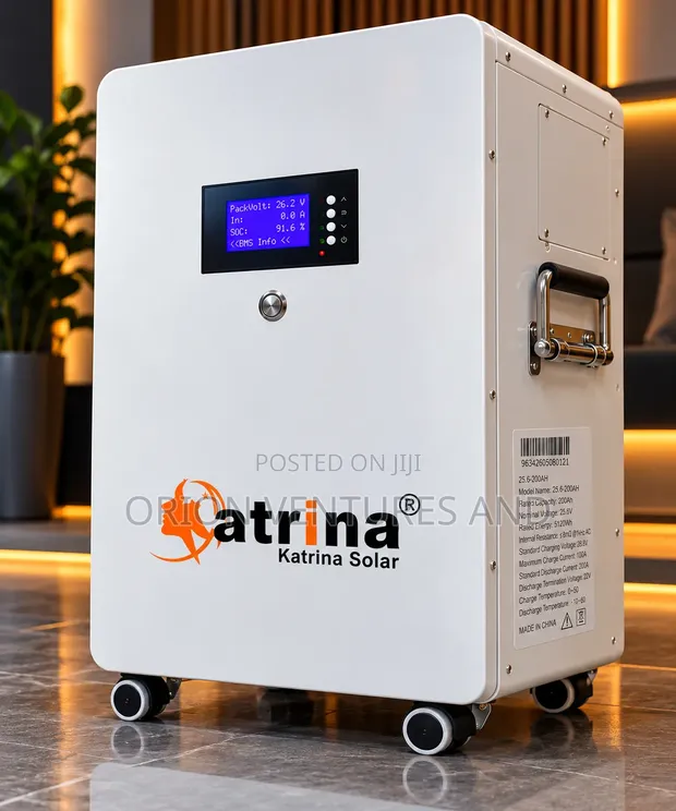 5kWh 24V Lithium LiFePO4 Battery - 1