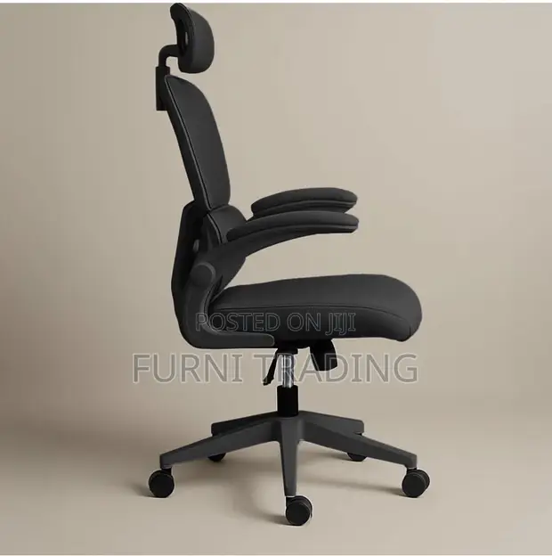 Skyline Furniture Ergonomic Office Chair - 1