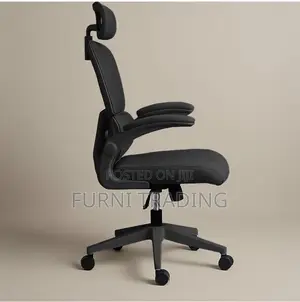 Skyline Furniture Ergonomic Office Chair