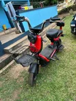 EGL 2024 Red Electric Scooter - 3