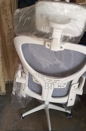 Adjustable Office/Fashion Designer Chair