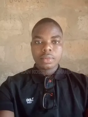 House Cleaner CV - Hardworking Togolese Young Man