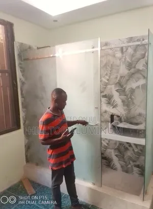 Frameless Shower Glass Door
