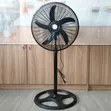 Brand New TCL Electric Standing Fan - 1